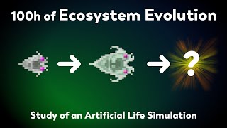 What will happen after 100h of evolution Study of natural selection in an ecosystem simulator [upl. by Swen]