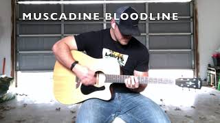 Porch Swing Angel Muscadine Bloodline [upl. by Nylek989]