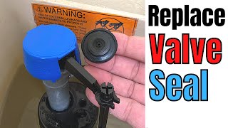 Fix it Yourself Replace the Fluidmaster 400 Valve Seal for Beginners  Basic Life Skills [upl. by Fryd273]