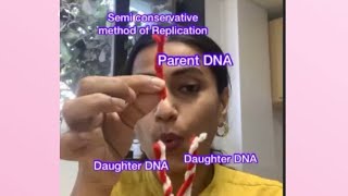 Semi conservative method of DNA Replication [upl. by Berty]