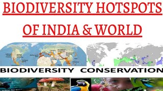 Biodiversity Hotspots of the world  Lecture no  23 [upl. by Pollie]