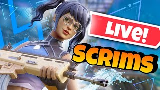 Fortnite Custom scrims live Fortnite Custom Matchmaking Scrims LIVE [upl. by Yenruogis]