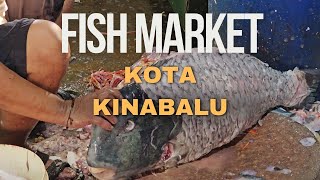 Kota Kinabalu  Fish Market 2024 [upl. by Asnerek]