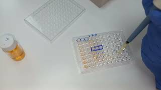 Dilution of TPHA Siphylis positive TPHA positive laboratory Dilution de TPHA positif مرض الزهري [upl. by Nosiddam681]