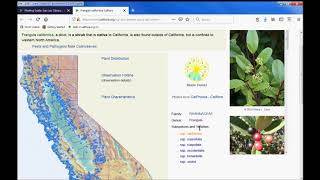 The Calflora Planting Guide [upl. by Ariahs]