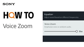 Tips Video  Voice Zoom [upl. by Eikcim]