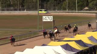 Gympie 20240615 Race 4 [upl. by Mozelle]