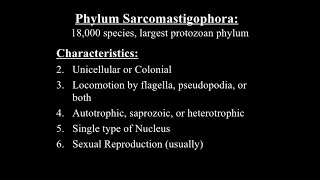 Phylum Sarcomastigophora Class Phytomastigophora amp Zoomastigophora [upl. by Cordova]