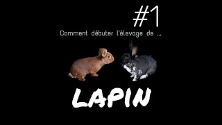 Comment commencer lélevage de lapin 1 [upl. by Jerrie485]