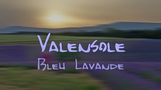 Valensole Bleu lavande [upl. by Koblick]