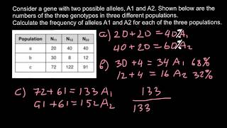 How to Find a Frequency of Alleles in a Population [upl. by Nithsa]