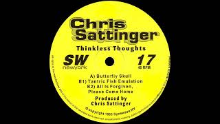 Chris Sattinger – Thinkless Thoughts Synewave 1995 [upl. by Gilburt]