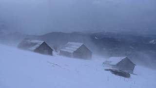 💨 Winter Storm Ambience with Icy Howling Wind Sounds for Sleeping Relaxing and Studying Background [upl. by Brigitte]