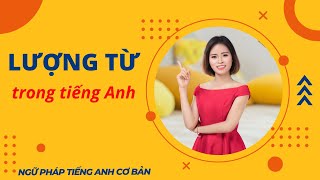 30 NGÀY CHINH PHỤC NGỮ PHÁP TIẾNG ANH  NGÀY 12 LƯỢNG TỪ [upl. by Aneertak751]