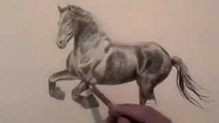 Comment dessiner un poney [upl. by Rickie]