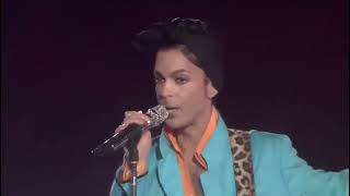 Prince Super Bowl XLI Halftime Show 2007 FULL SHOW HD [upl. by Airec497]