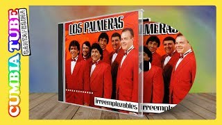 Los Palmeras  Irremplazables  Disco Completo Cumbia Tube Santafesina [upl. by Mcquillin]