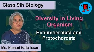 CBSE Class 9 Biology Diversity in Living Organism Echinodermata and Protochordata Extraminds [upl. by Lhok357]