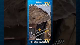 😅🎶👉🏽 𝙎í𝙜𝙪𝙚𝙣𝙤𝙨 𝙚𝙣 radiofindelmundotv ⭐️ radiofindelmundotv futbol Reels [upl. by Azilef]