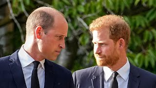 ‘William is spitting mad’ Royal brothers’ bitter rift reaches new heights [upl. by Amethist281]