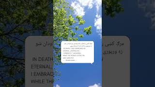 Ghani Khan pastho poetry with English translation ghanikhanpoetry shorts rumipoetryenglish [upl. by Anthea]