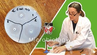 Microbiology  GCSE Science Required Practical Triple [upl. by Zeni]