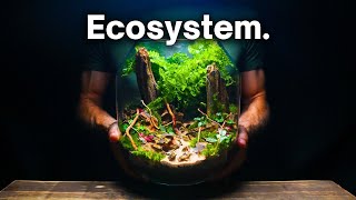 Creating a Beautiful Terrarium Ecosystem A Step By Step Guide [upl. by Barnabe]