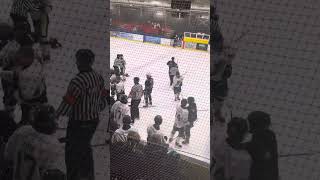 Oxford Rising Stars vs Haringey Huskies NIHL 31124 [upl. by Nyladnohr]