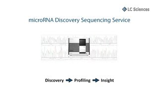 microRNA Sequencing Service [upl. by Thomasin]