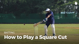 How to Play a Square Cut  Cricket [upl. by Carol-Jean]