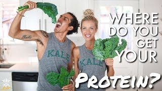 Where Do You Get Your Protein On A Whole Foods Plantbased Diet [upl. by Dud]