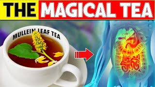 15 Amazing MULLEIN LEAF TEA Benefits the World MUST WATCH Now [upl. by Gereron]