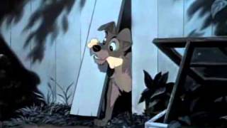 Walt Disney Films  Lady and the Tramp 1955 [upl. by Sevy]