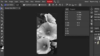 How to change values in Photopea [upl. by Ladiv]