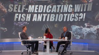 SelfMedicating with Fish Antibiotics [upl. by Nnaillij568]