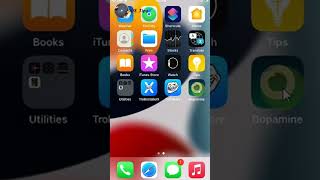 Jailbreak iOS 1583 with Dopamine without PC [upl. by Judus]