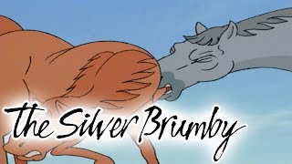 The Silver Brumby  Episode 1  Arrow Is Cornered  HD  Full Episode  Videos For Kids [upl. by Rabbaj]