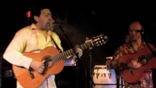 Volare  Gipsy Kings tribute band [upl. by Ccasi361]