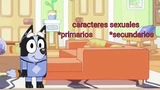 los caracteres sexuales y mas [upl. by Hurlee172]