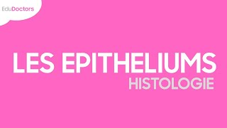 Les épithéliums  Histologie [upl. by Thomasine]