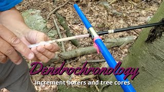 Dendrochronology How to use an increment borer [upl. by Shaylah]