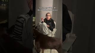 Calling my Gf the “B Word” to see her reaction 😂 gnb shorts couplegoals [upl. by Edvard]