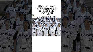 プロ参入1年目の挑戦くふうハヤテベンチャーズ静岡 プロ野球 挑戦 静岡 [upl. by Bollen]