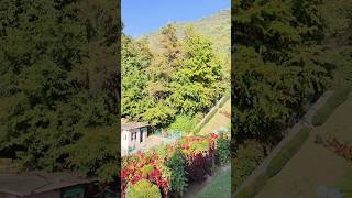 Moghol garden 🏡shorts youtubeshorts youtube kashmir EloMeloPoth [upl. by Anyt]