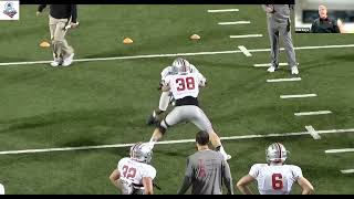 Ohio State Analyst Rob Keys  Snag TechniqueDrill Punt Coverage [upl. by Atirres]