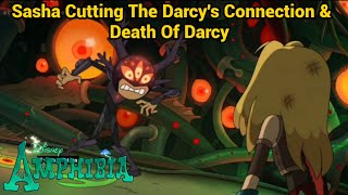 Sasha Cutting The Darcys Connection amp Death Of Darcy  Amphibia S3 EP17 [upl. by Arline645]