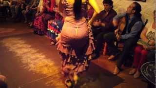 Flamenco Dance by Spanish Gypsies Part 1 [upl. by Grace688]