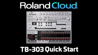 TB303 Quick Start [upl. by Euton]