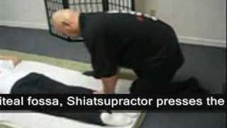 Shiatsu Demonstration 3 Prone Position Legs [upl. by Andrus261]