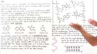 Introduction to DNA [upl. by Fidela]